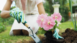 Illustration for article titled Perfect Gifts for the Gardener in Your Life